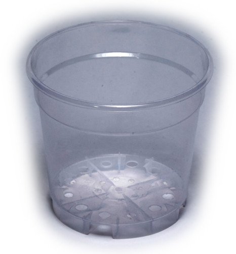 Orchidea cserép Ø 21cm transparent