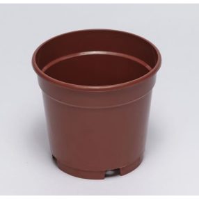 Orchidea cserép Ø 10cm terracotta