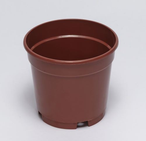 Orchidea cserép Ø 13cm terracotta