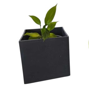 Kocka alakú virágcserép  1,5L-es anthracite