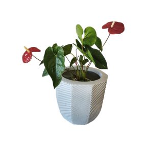 Széria 85C - Beton hatású fúvott/ festett virágcserép